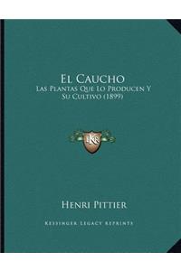 El Caucho
