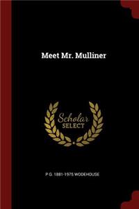 Meet Mr. Mulliner