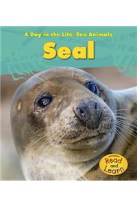 Day in the Life Sea Animals Seal