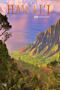 2018 Hawaii Wall Calendar