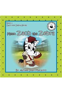 Meet Zach the Zebra