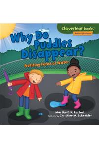 Why Do Puddles Disappear?: Noticing Forms of Water
