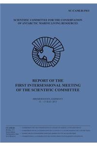 Report of the First Intersessional Meeting of the Scientific Committee