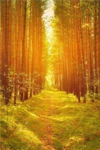 Mind Blowing Wooded Path Journal