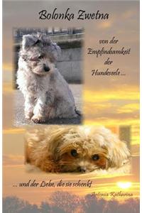 Bolonka Zwetna