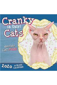 Cranky (& Ugly) Cats