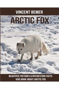 Arctic fox