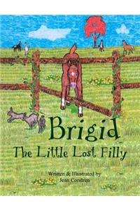 Brigid, The Little Lost Filly