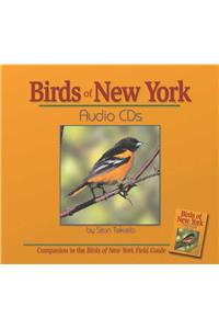 Birds of New York Audio