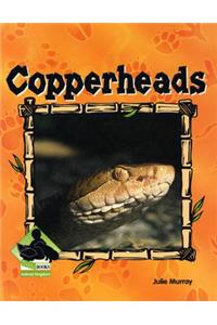 Copperheads