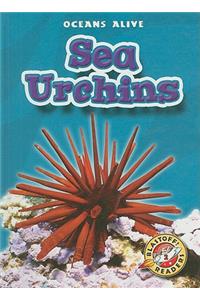 Sea Urchins