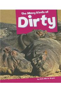 Many Kinds of Dirty