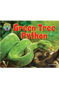 Green Tree Python