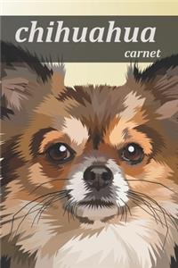 chihuahua carnet