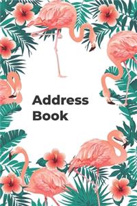 Address Book