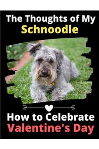 Thoughts of My Schnoodle