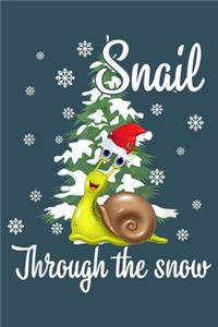 Snail through the snow