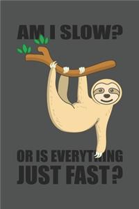 Am I Slow? Or Is Everything Just Fast?