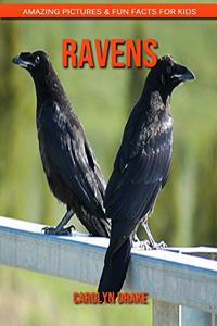 Ravens