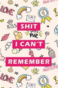 Shit I Can't Remember