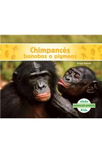 Chimpances Bonobos (Bonobos)
