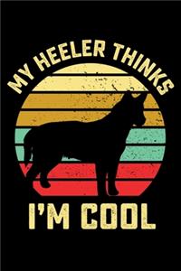 My Heeler Thinks I'm Cool