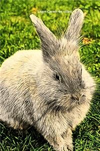 Lapin Carnet de notes