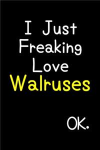 I Just Freaking Love Walruses Ok.