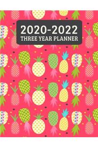 2020-2022 Three Year Planner