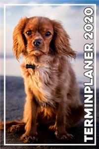 Terminplaner 2020
