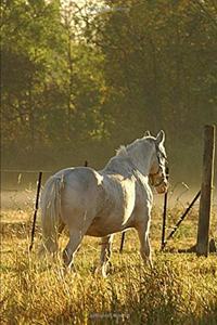 2020 Weekly Planner Horse Photo Equine Morning Pasture Scene 134 Pages