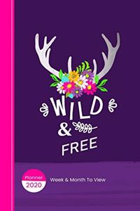 Wild & Free