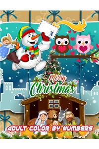 Merry Christmas Adult Color By Numbers