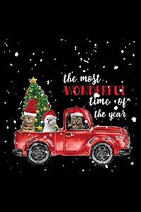 The Most Wonderful Time Of The Year