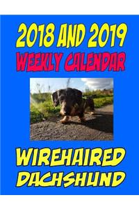 2018 and 2019 Weekly Calendar Wirehaired Dachshund