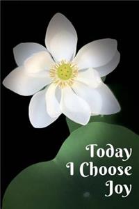 Today I Choose Joy