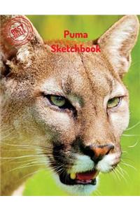 Puma Sketchbook