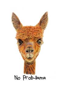 No Prob-lama