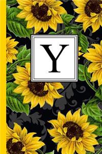 Y