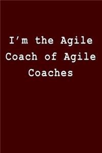 I'm the Agile Coach of Agile Coaches