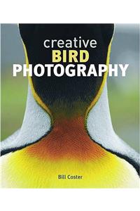 Creative Bird Photography