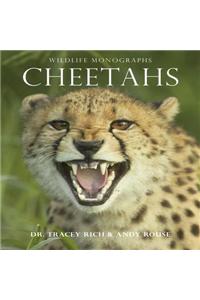 Cheetahs