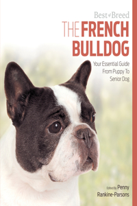 French Bulldog Best of Breed