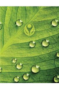 Dew Drop Leaf 2 Sketchbook