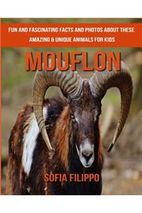Mouflon