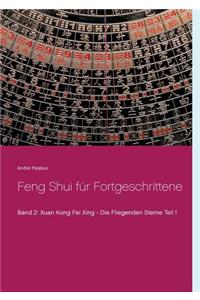 Feng Shui für Fortgeschrittene