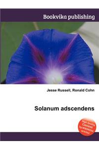 Solanum Adscendens