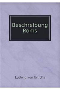 Beschreibung ROMs