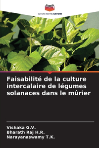 Faisabilité de la culture intercalaire de légumes solanaces dans le mûrier