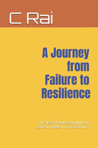 Journey from Failure to Resilience